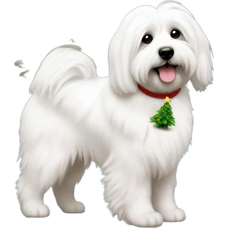 Coton de tulear with a Christmas tree emoji