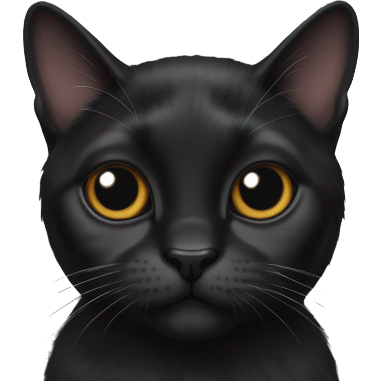 black lop-eared cat emoji