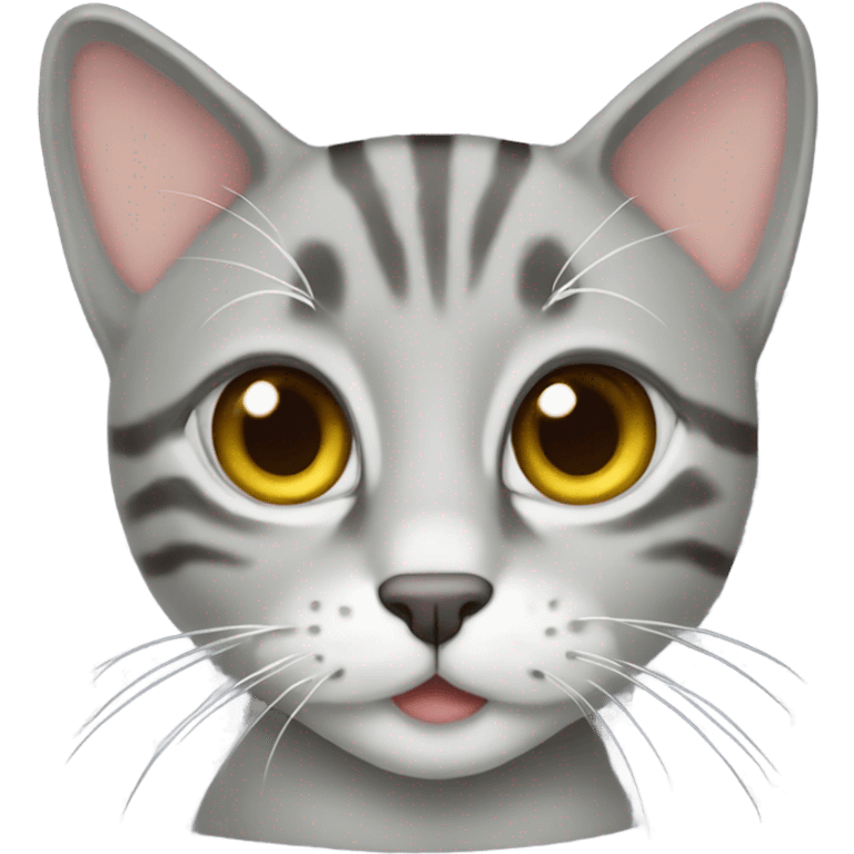 tabby gray cat emoji