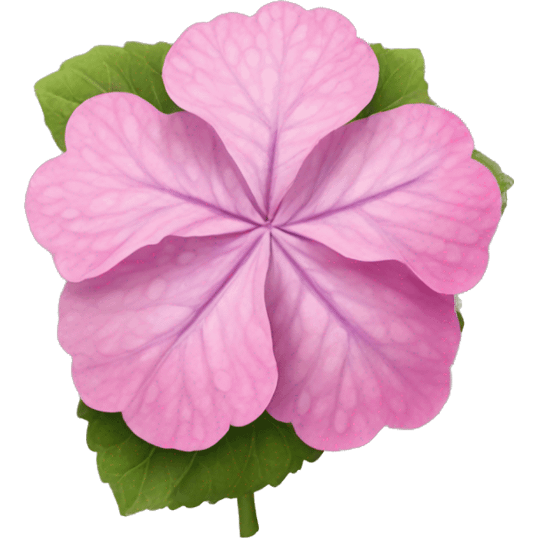 Pink Hortensia  emoji