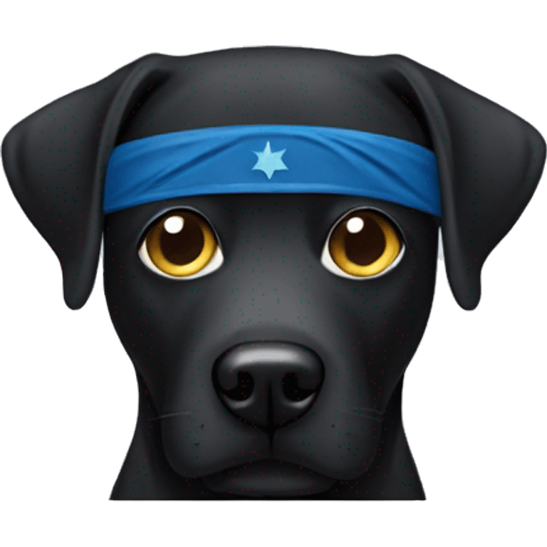 black lab with superhero eye mask emoji