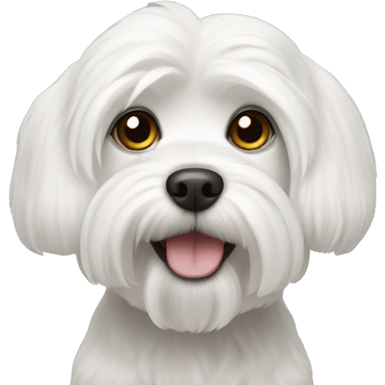 white maltese dog emoji