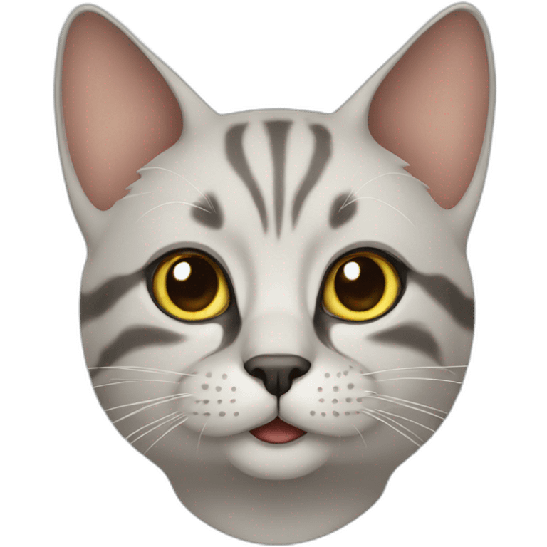 Arabic cat emoji