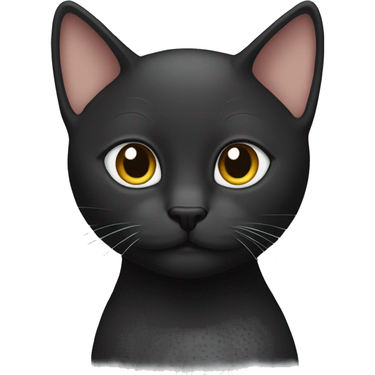 The bald cat is black emoji