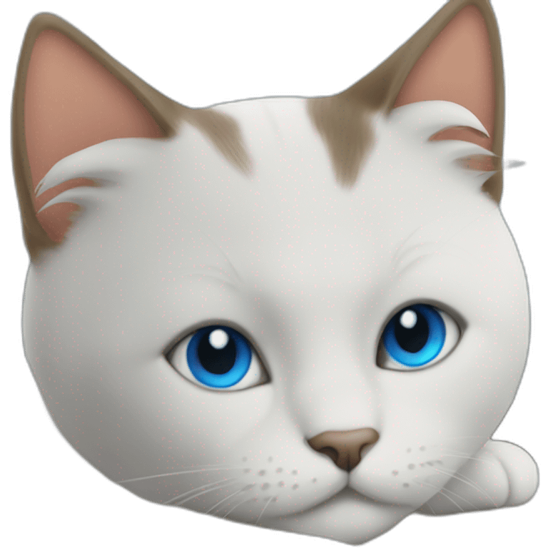 cat with blue eyes on top book chilling emoji