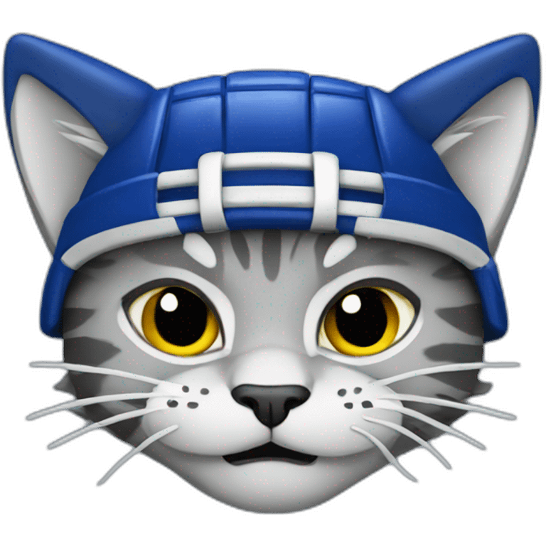 Hockey wildcats  emoji