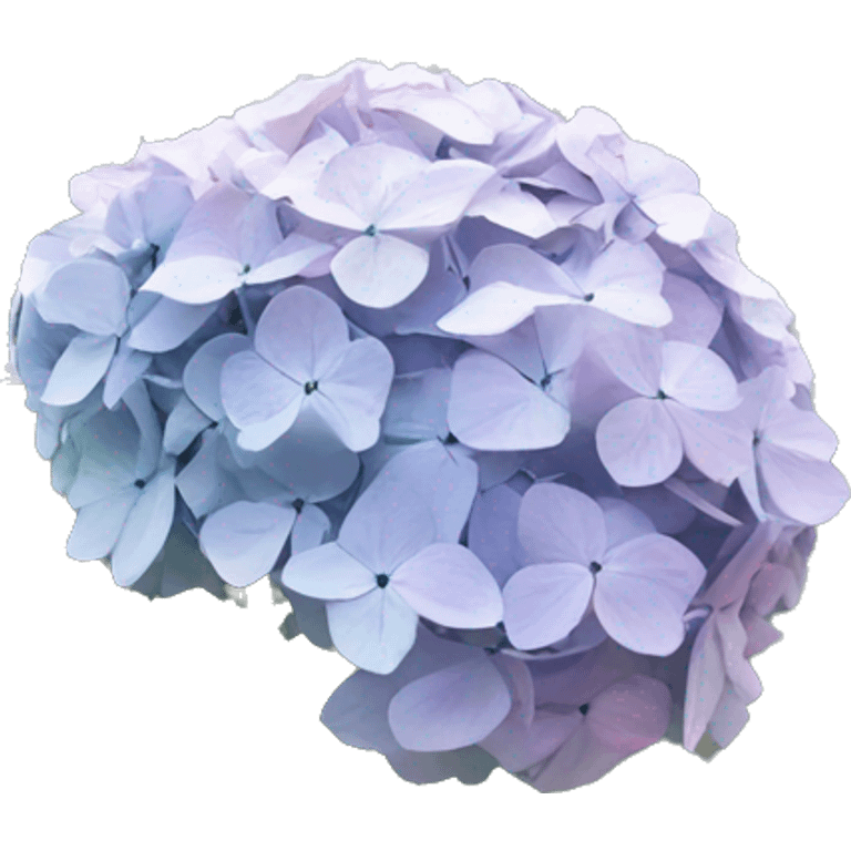 hydrangea in front of gray house  emoji