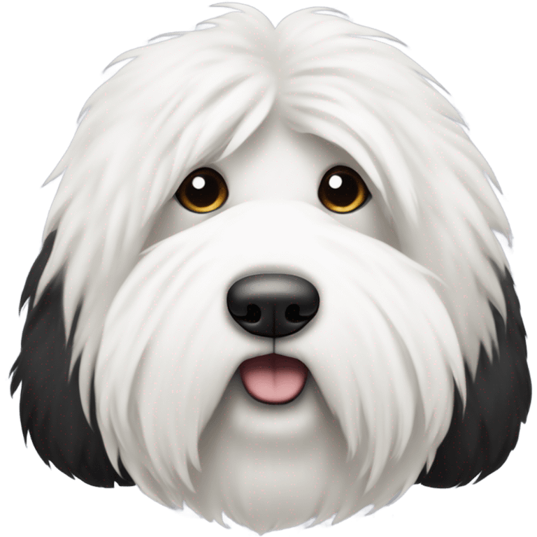 Old English sheepdog with a half and half face like a black (left) and white (right) cookie emoji