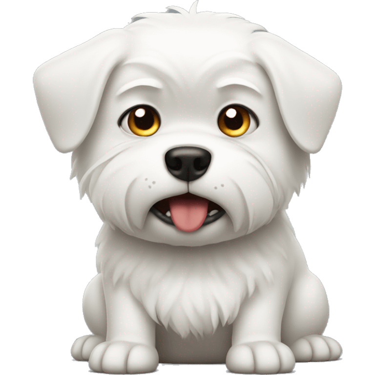 Angry small white dog emoji