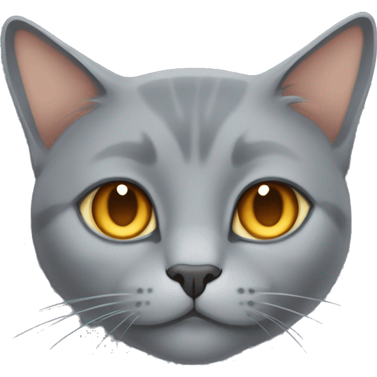 Grey cat breed blue Brit. He has orange eyes and small, dark grey lines on his tail. The cat is fat. The cat is sleeping emoji