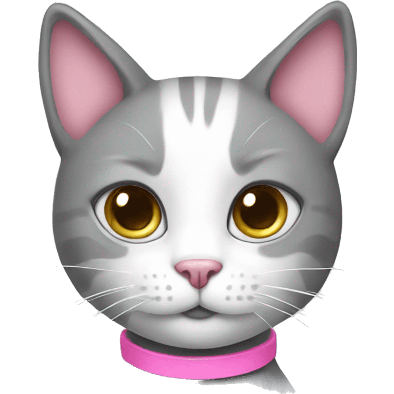 grey and white cat with pink collar  emoji