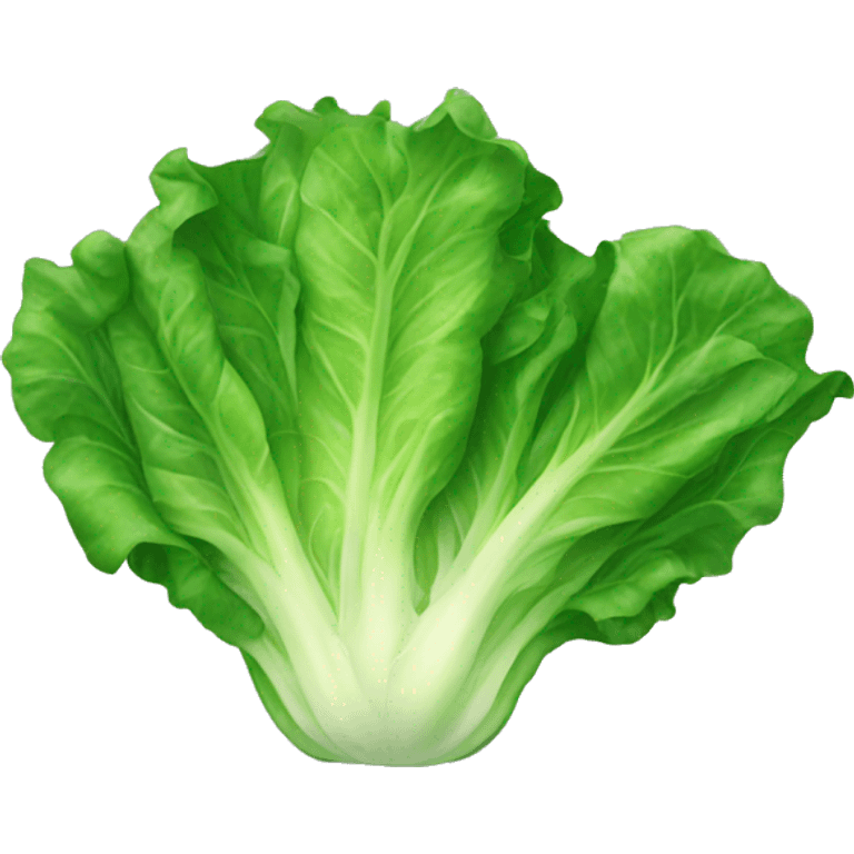 Lettuce emoji