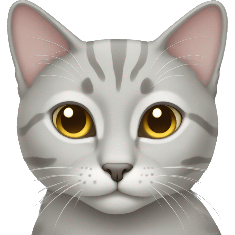 Light grey cat emoji