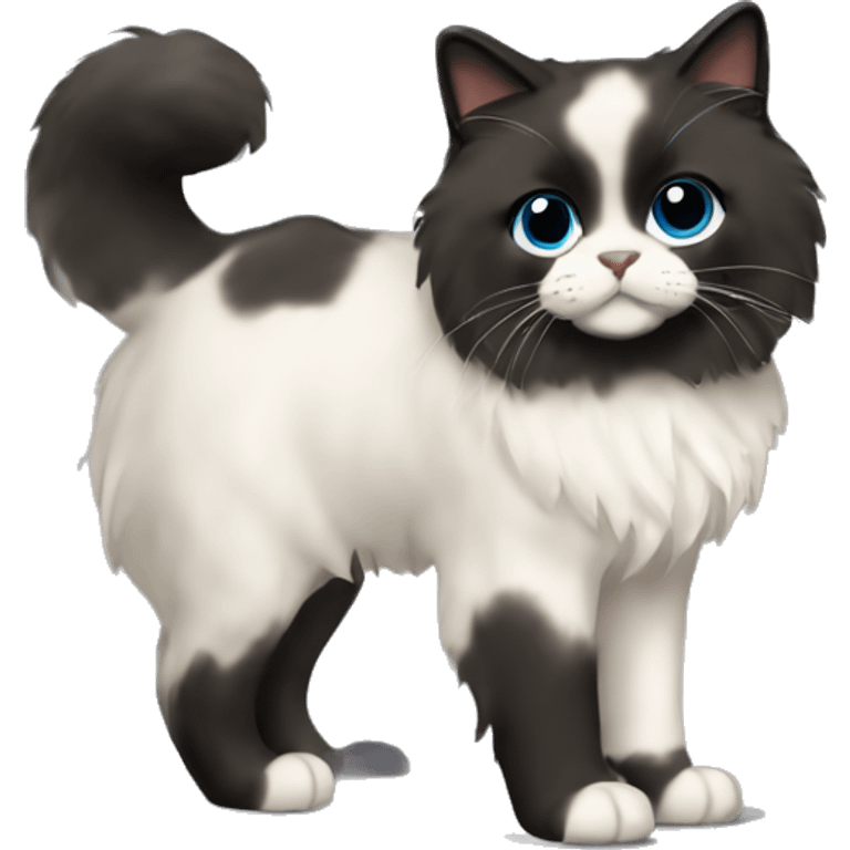 Ragdoll with full dark face, black fur feet and tail, Standing posture emoji