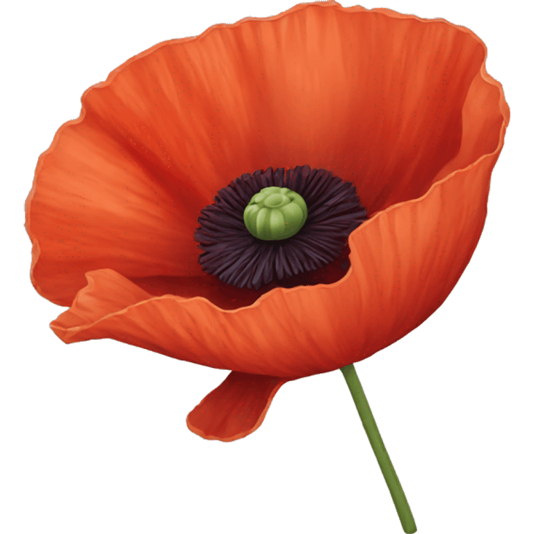 Poppy flower  emoji