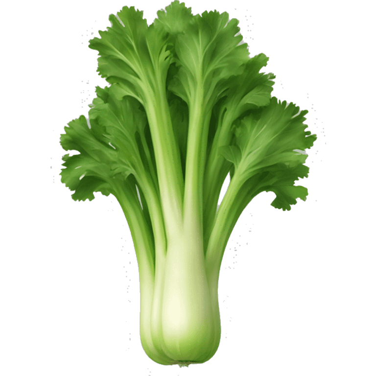 The vegetable celery  emoji