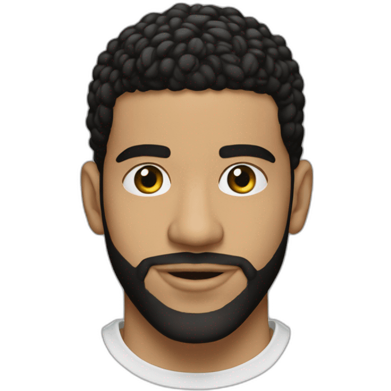 twin Aubrey Drake Grahams emoji