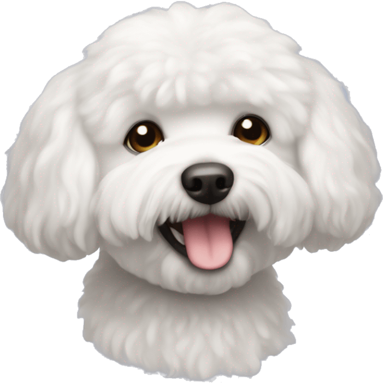  Dog of the Bichon Frise breed emoji