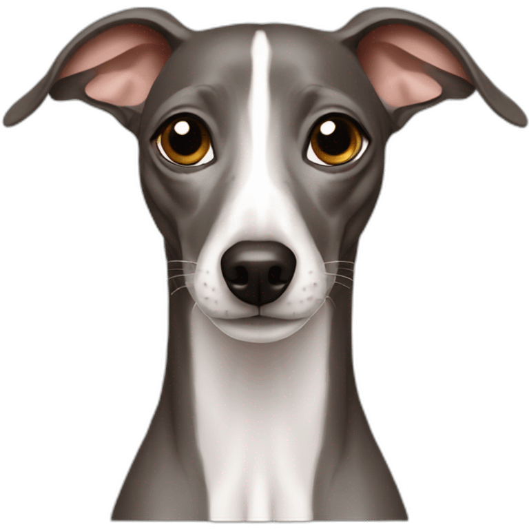 Italian greyhound emoji