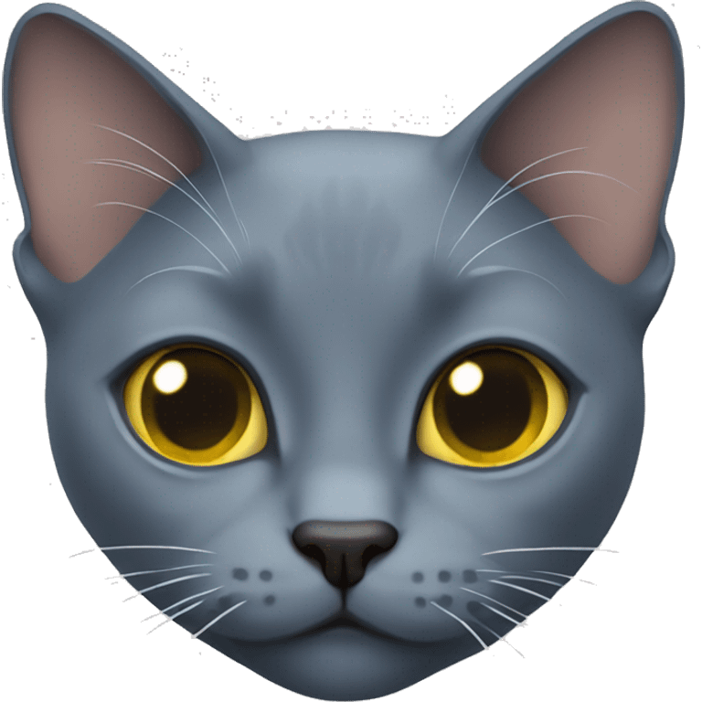 Russian blue cat  emoji