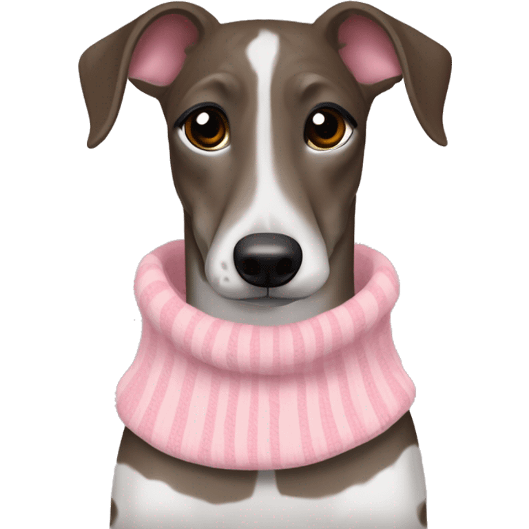 Brindle whippet brown red and black striped with large white spots on neck and stripe on face, wearing pink sweater emoji