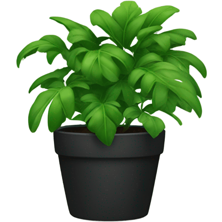 black potted plant emoji