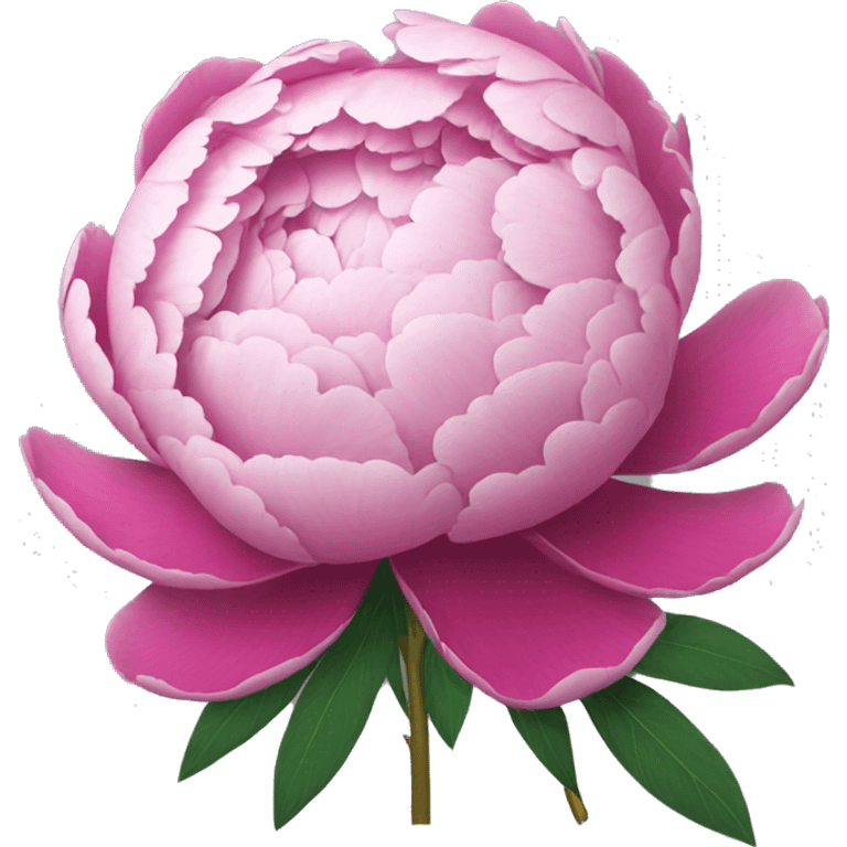 Peony emoji