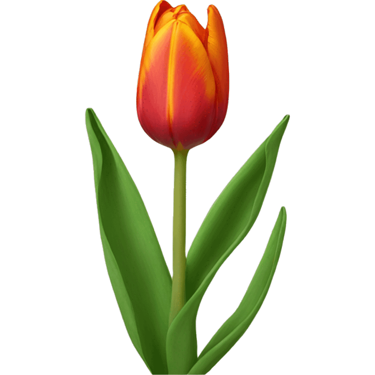 Tulip emoji