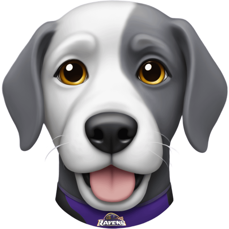 Gray and white dog as a ravens fan  emoji