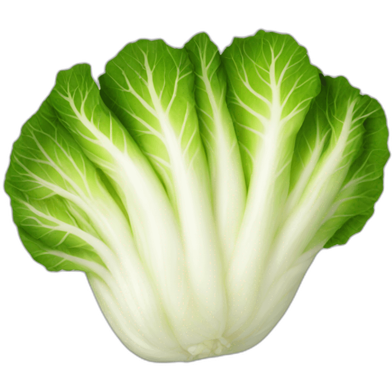 kimchi-korean-napa-cabbage emoji