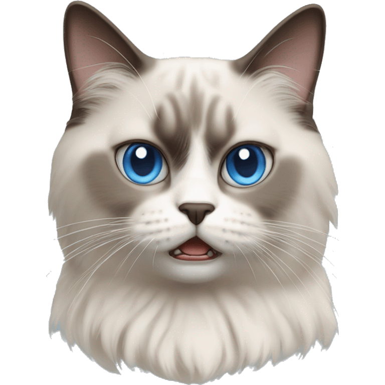 angry shorthaired blue eyed ragdoll cat emoji