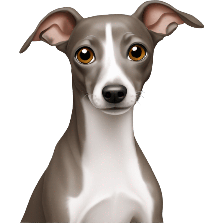 Italian greyhound emoji