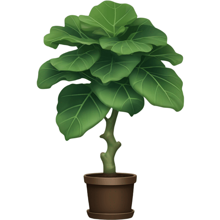 fiddle leaf fig  emoji