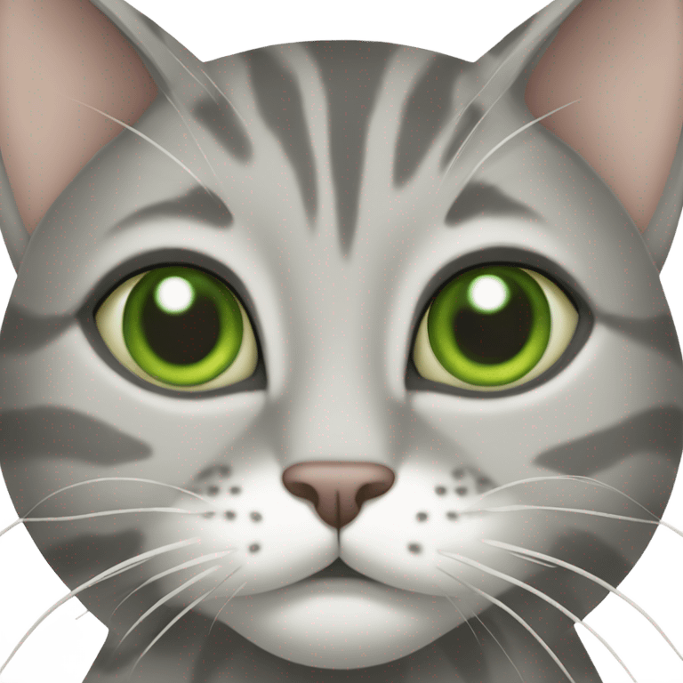 Green eyed Grey tabby cat with swirl pattern in the fur emoji