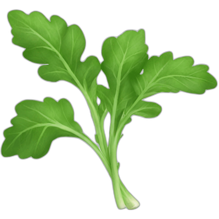 arugula emoji