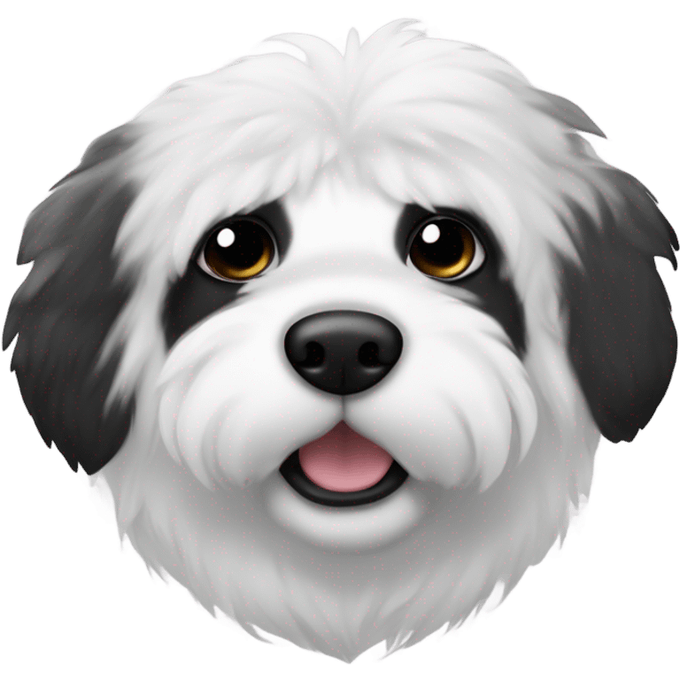 Fluffy dog with black from the ears and circle around the eyes the rest is white and then with white eyebrows and white chest with black patches face only  emoji