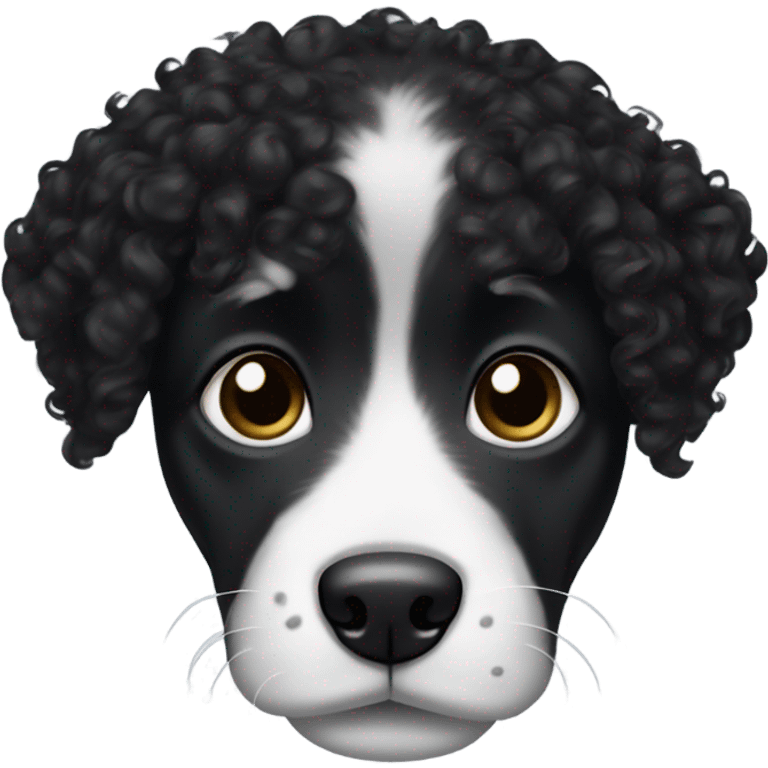 Black curly hair dog face with white snout and white eyebrows emoji