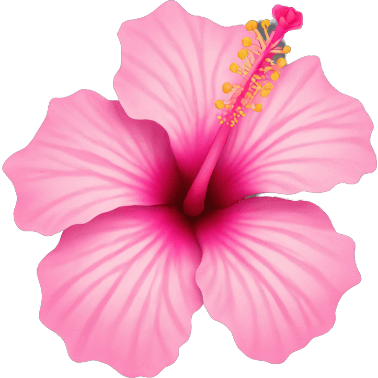 Pink hibiscus flower emoji