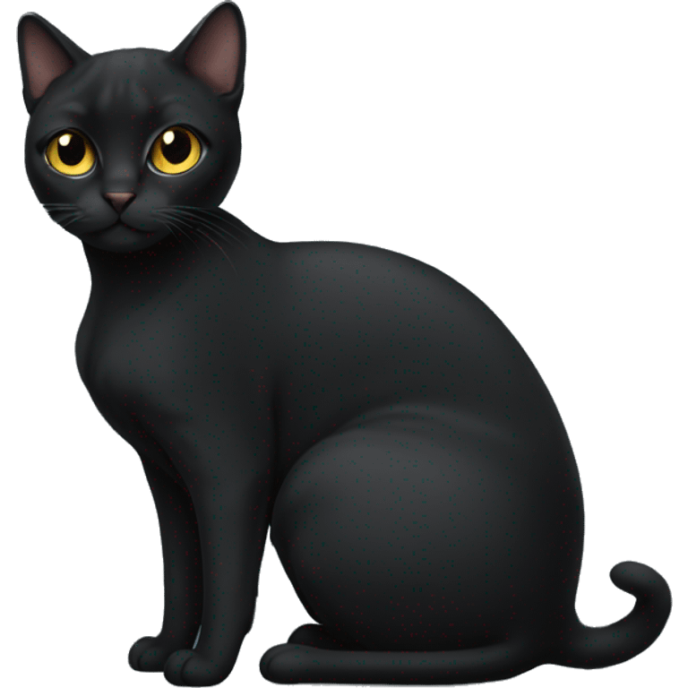 very pregnant black female cat  emoji