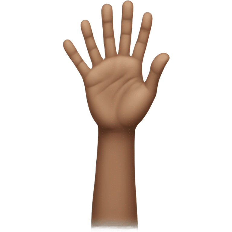 two hands greeting emoji