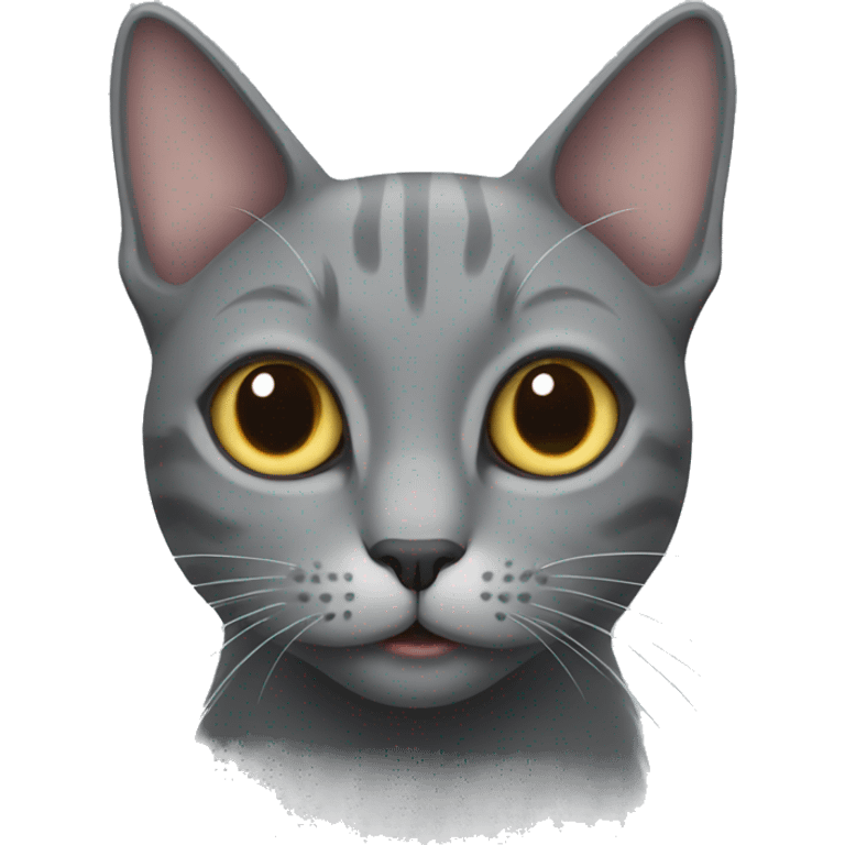 A grey cat  emoji