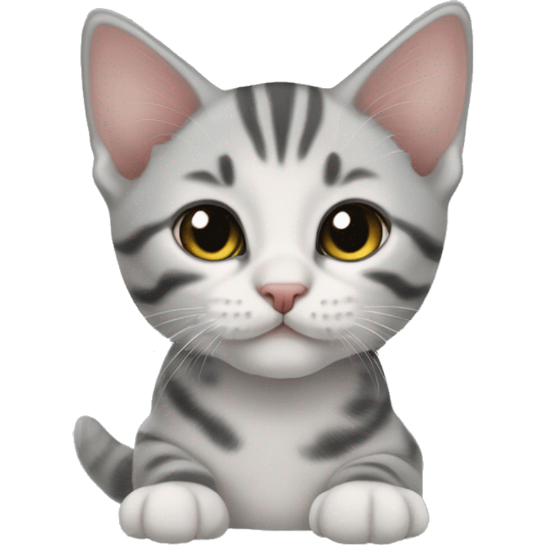 American Shorthair kitten emoji