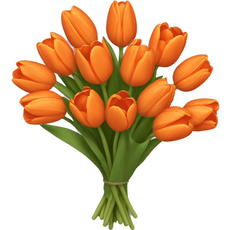 orange tulip bouquet  emoji