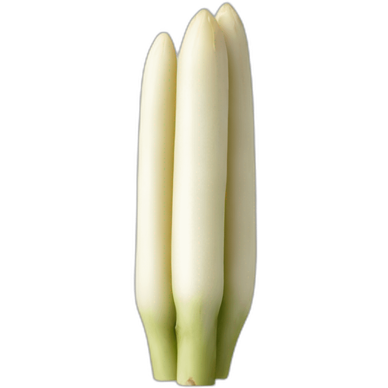 White asparagus  emoji