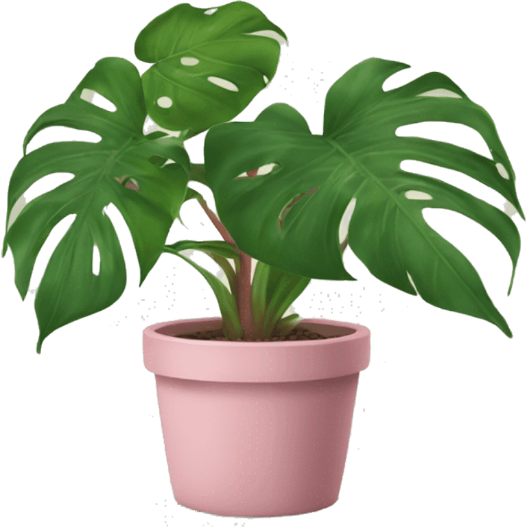 Pink and green philodendron  emoji