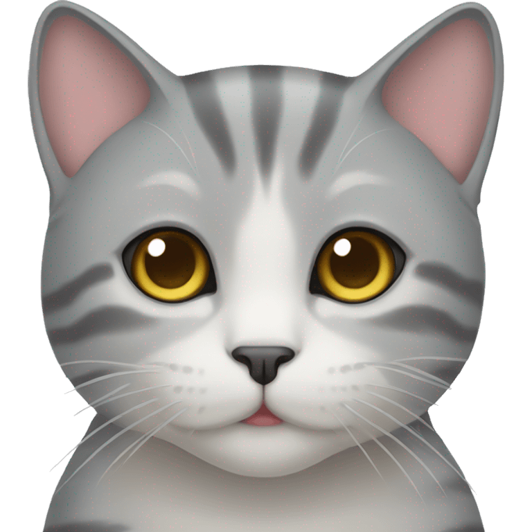 cuty gray cat like japanese emoji