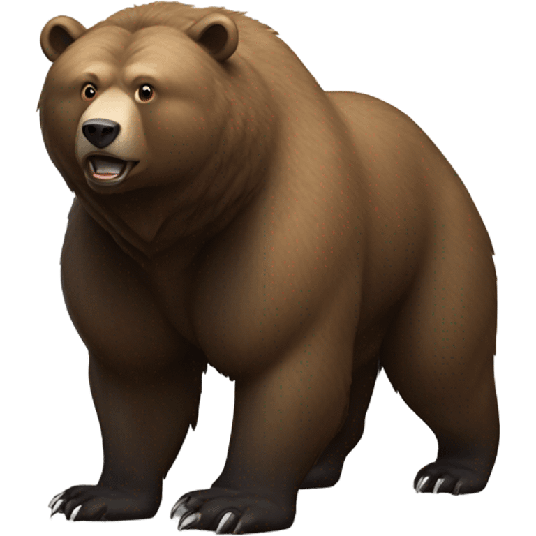 bear emoji