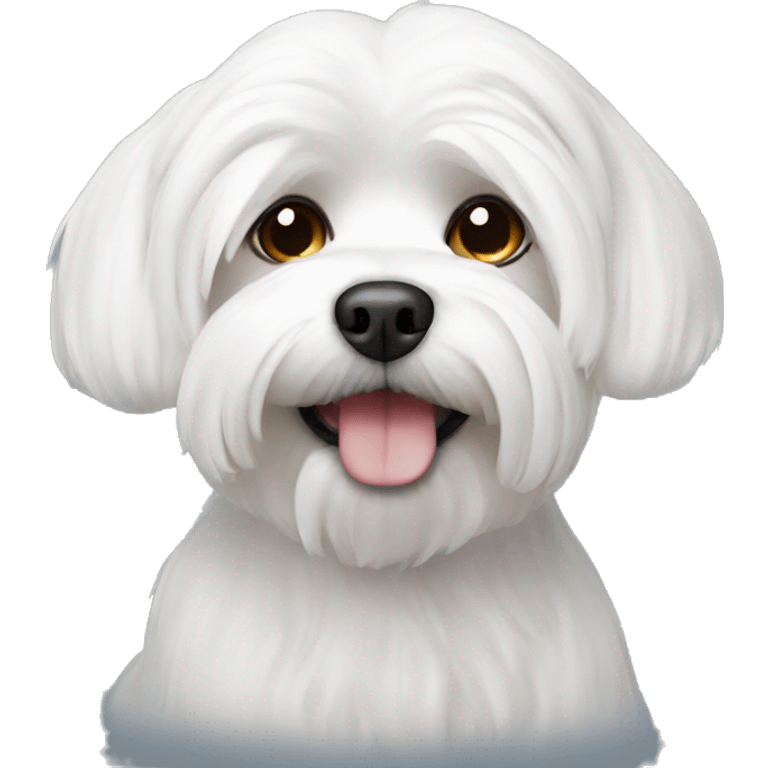 White Maltese  emoji