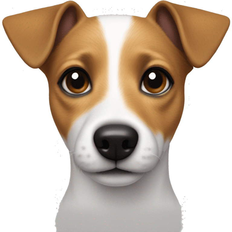 Jack Russell, white body, pointed ears, black stripe on left ear, 1 spot under eye emoji