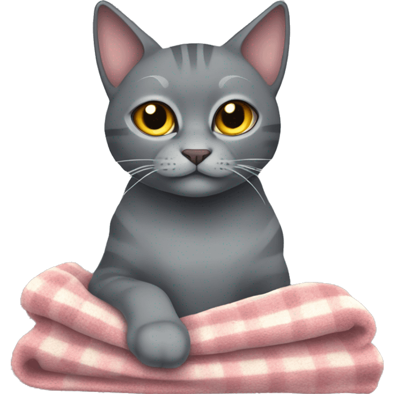 Grey cat spynx with blanket  emoji